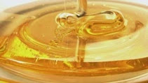 Read more about the article Which Type of Honey is Best for Human Health?