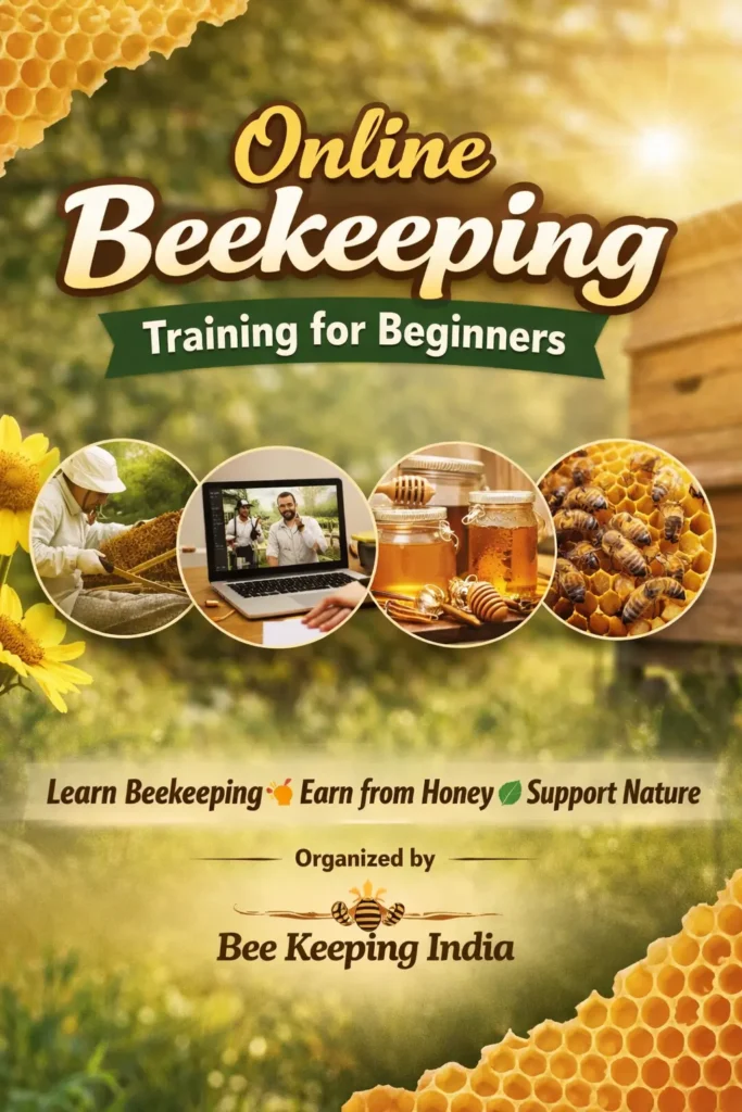 Bee Keeping Training