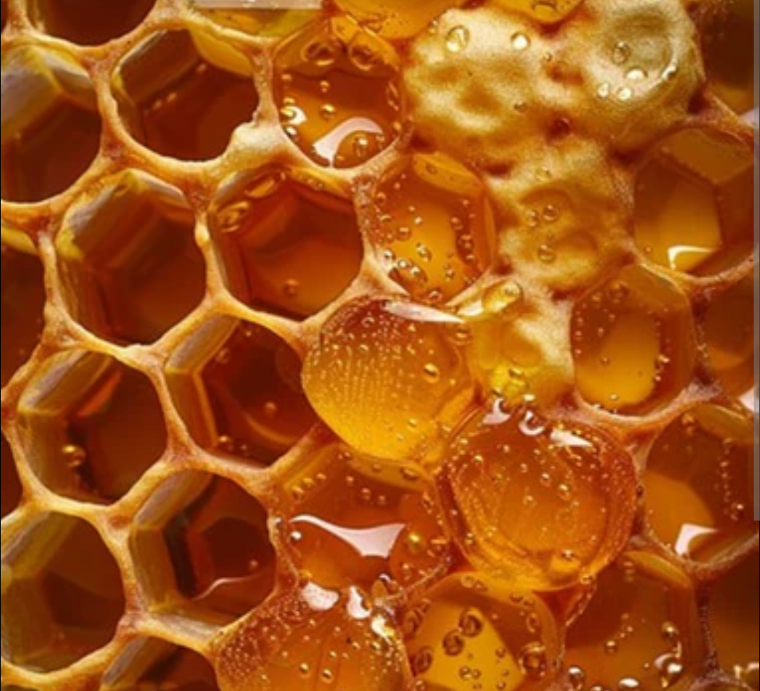 Honey for sale